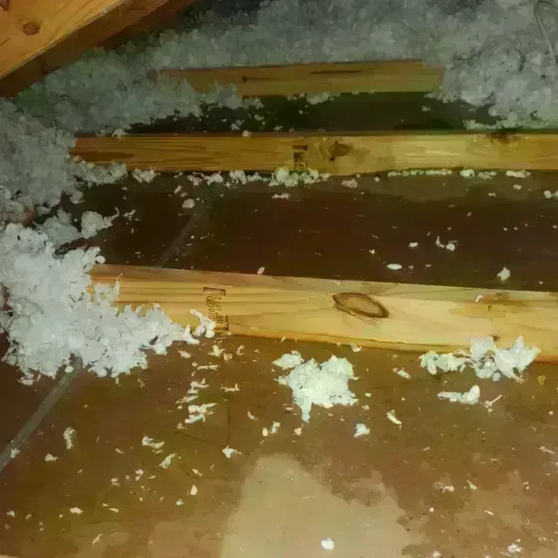 Attic Water Damage in Sutherland, NE